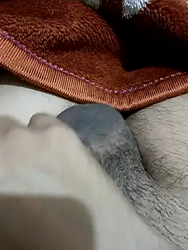  chota bunny  online show from 02/24/26, 09:40