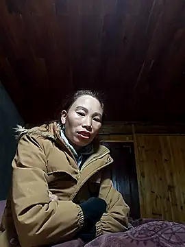 Nllpvp online show from 01/07/26, 02:36