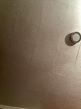 Evelin199 online show from 02/08/26, 08:45