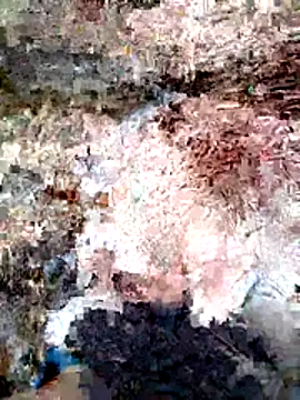 ParejaSutra69 online show from 01/08/26, 10:56