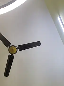 trinasa online show from 01/10/26, 06:31