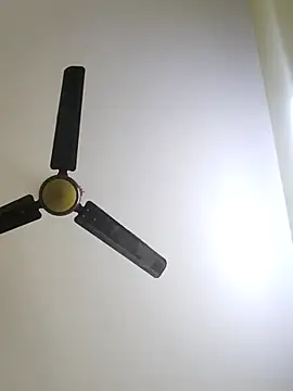 trinasa online show from 01/12/26, 08:03