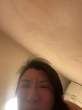 wy2026 online show from 02/11/26, 04:56