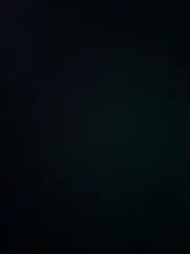 wy2026 online show from 03/12/26, 07:31