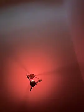 witchdub online show from 02/18/26, 04:47