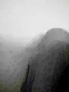 Scook Gray  online show from 04/08/26, 06:08