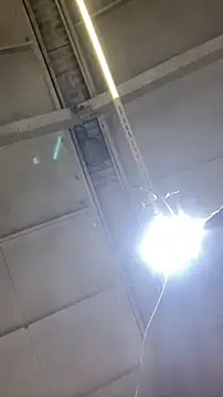 Dildogang online show from 02/11/26, 02:49