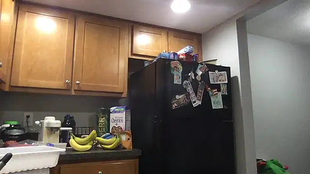 bottombeargaming online show from 01/14/26, 02:28