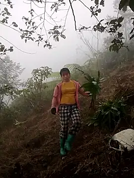 cdyyds-69 online show from 01/15/26, 01:54