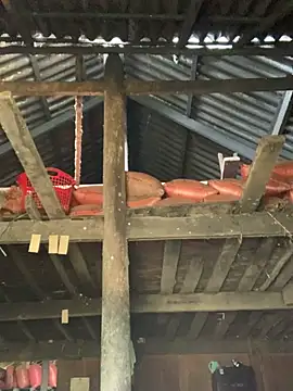 Naalyy online show from 03/26/26, 03:34