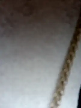 Dante Knox online show from 02/08/26, 12:30