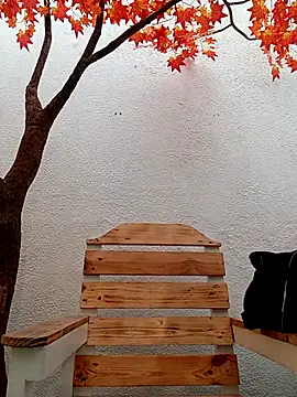 Dante Knox online show from 03/11/26, 11:49