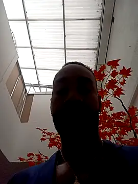 Dante Knox online show from 04/09/26, 11:48