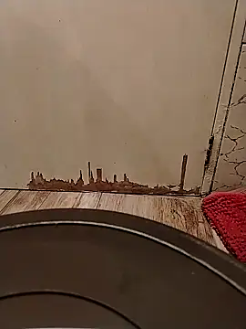 Gorditacarlota online show from 02/01/26, 05:00