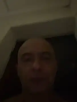 dogfrota online show from 02/28/26, 06:47