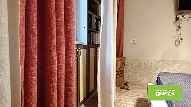 sewsewsewe online show from 02/11/26, 10:04