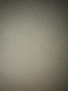 Snapshot of zumma00 chatting on 01/17/26, 11:37 zumma00 online show from 01/17/26, 11:37