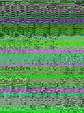 Charlotte-ee online show from 03/14/26, 05:02