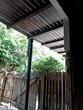 dicklife3485 online show from 02/12/26, 08:53