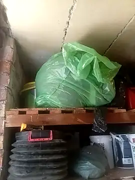 dicklife3485 online show from 03/31/26, 10:37