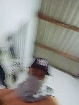 novinho br29 online show from 02/17/26, 08:04