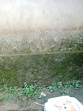 out-lustt online show from 04/20/26, 09:45