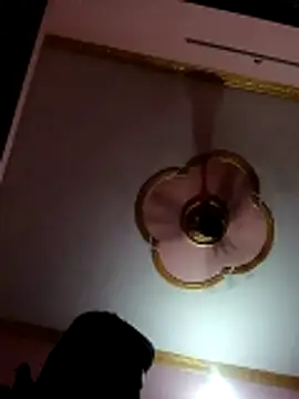 Cutiepie91 online show from 04/18/26, 10:41