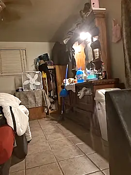 LadySn0w26 online show from 04/11/26, 02:27