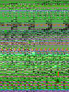 Snapshot of Wicy23 chatting on 05/14/26, 03:35 Wicy23 online show from 05/14/26, 03:35