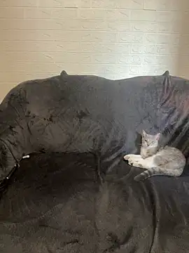 AlisRoxy online show from 02/14/26, 02:14