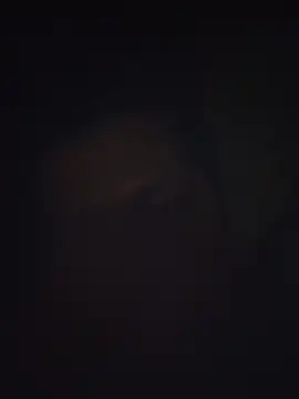 Pravin9562 online show from 03/04/26, 07:09