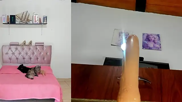 harper funny online show from 04/20/26, 06:09