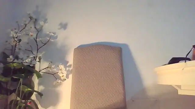 Dolcezzastella online show from 03/01/26, 07:43