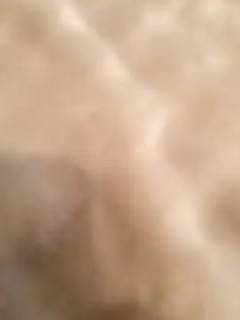 Snapshot of testmailx75 chatting on 02/23/26, 09:23 testmailx75 online show from 02/23/26, 09:23