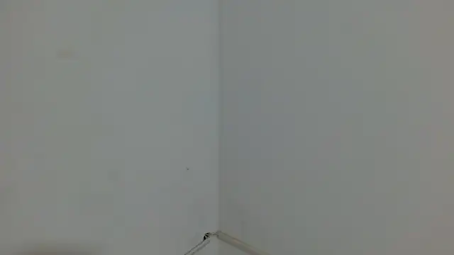 princess1609 online show from 03/04/26, 01:17