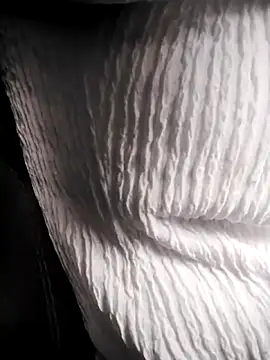 RosseLaure online show from 02/25/26, 07:56