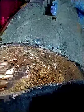 xx couple online show from 01/19/26, 04:11