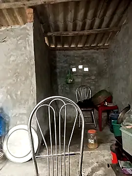 Nuna 689 online show from 04/03/26, 03:37