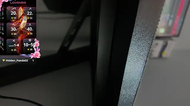 HiddendesireXO01 online show from 06/02/26, 06:54
