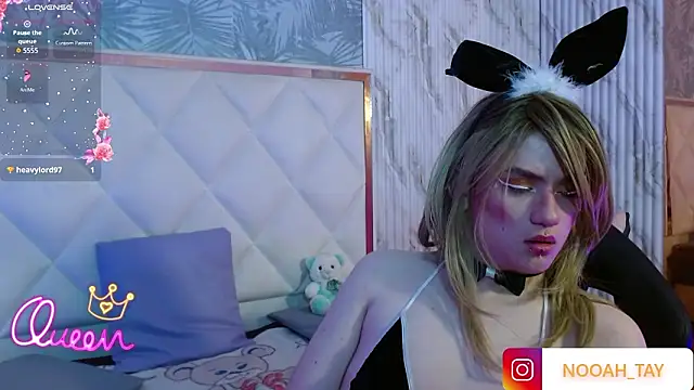 NOOAH TAY online show from 02/03/26, 06:40