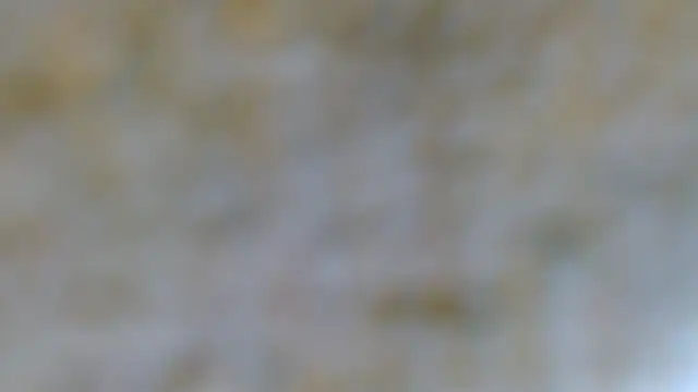 EVAN TAY online show from 02/07/26, 07:17