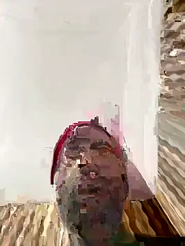 hardlysuck online show from 02/04/26, 02:39