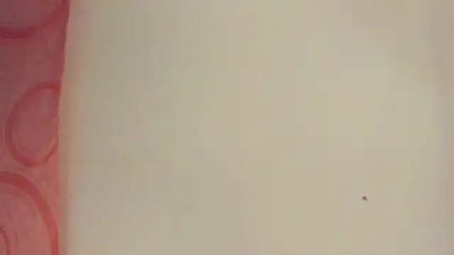 Snapshot of Melanie__Evans chatting on 05/15/26, 10:55 Melanie Evans online show from 05/15/26, 10:55
