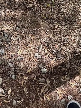 tyd247 online show from 02/22/26, 11:36