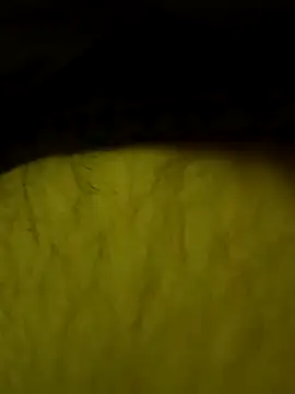 jajajaja322 online show from 02/02/26, 09:24