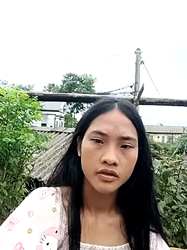 Snapshot of Hoa-tuylip chatting on 07/29/26, 07:17 Hoa-tuylip online show from 07/29/26, 07:17