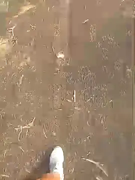 jhenyseducao online show from 03/18/26, 11:02