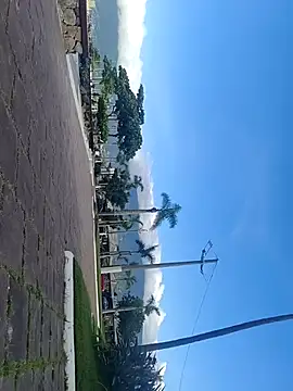 Gustavo52367 online show from 02/20/26, 07:36