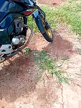 negrim10 online show from 02/10/26, 12:31