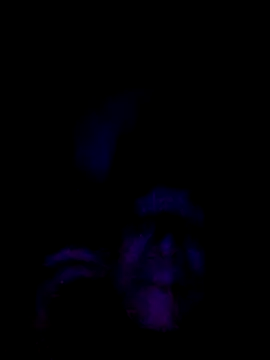 061190 online show from 02/28/26, 03:46